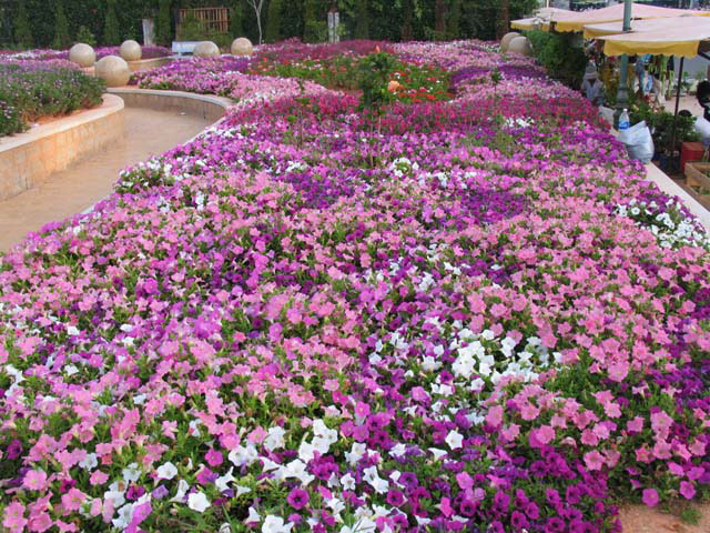 buon-ma-thuot-da-lat-(2)