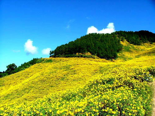buon-ma-thuot-da-lat-(3)
