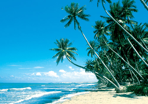 nha-trang-da-lat-(1)