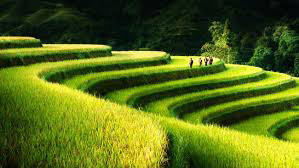 tay-bac-ha-noi-(2)