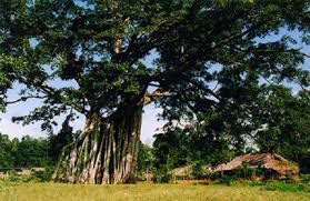 tay-bac-ha-noi-(3)